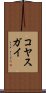 コヤスガイ Scroll