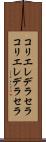 コリエレデラセラ Scroll