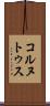 コルヌトゥス Scroll
