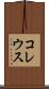 コレウス Scroll