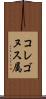 コレゴヌス属 Scroll