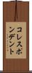 コレスポンデント Scroll