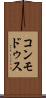 コンモドゥス Scroll