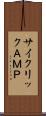 サイクリックＡＭＰ Scroll