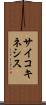 サイコキネシス Scroll