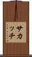 サカッチ Scroll
