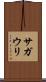 サガウリ Scroll