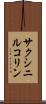 サクシニルコリン Scroll