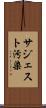 サジェスト汚染 Scroll