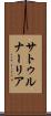 サトゥルナーリア Scroll