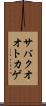 サバクオオトカゲ Scroll
