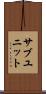サブユニット Scroll