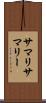 サマリ Scroll