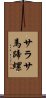 サラサ馬蹄螺 Scroll