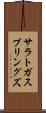 サラトガスプリングズ Scroll