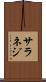 サラネジ Scroll