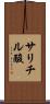 サリチル酸 Scroll