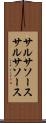 サルサソース Scroll