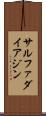 サルファダイアジン Scroll