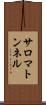 サロマトンネル Scroll