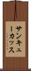 サンキューカッス Scroll