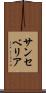 サンセベリア Scroll