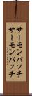 サーモンパッチ Scroll