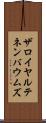 ザロイヤルテネンバウムズ Scroll