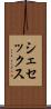 シェセックス Scroll