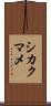 シカクマメ Scroll