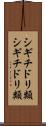 シギチドリ類 Scroll