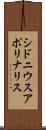 シドニウスアポリナリス Scroll