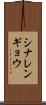 シナレンギョウ Scroll