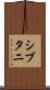 シブタニ Scroll
