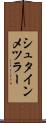 シュタインメツラー Scroll
