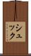 シュック Scroll