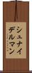 シュナイデルマン Scroll
