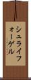 シュライフォーゲル Scroll