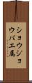 ショウジョウバエ属 Scroll
