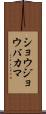 ショウジョウバカマ Scroll