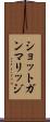 ショットガン・マリッジ Scroll