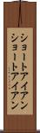 ショートアイアン Scroll