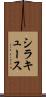 シラキュース Scroll