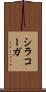 シラコーガ Scroll