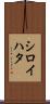 シロイハタ Scroll