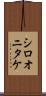 シロオニタケ Scroll
