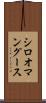 シロオマングース Scroll