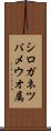 シロガネツバメウオ属 Scroll