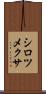 シロツメクサ Scroll
