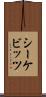 シーケビッツ Scroll